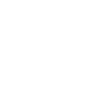 الجسر الصلب